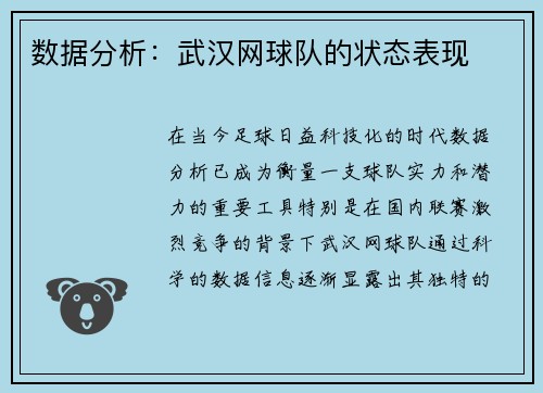 数据分析：武汉网球队的状态表现